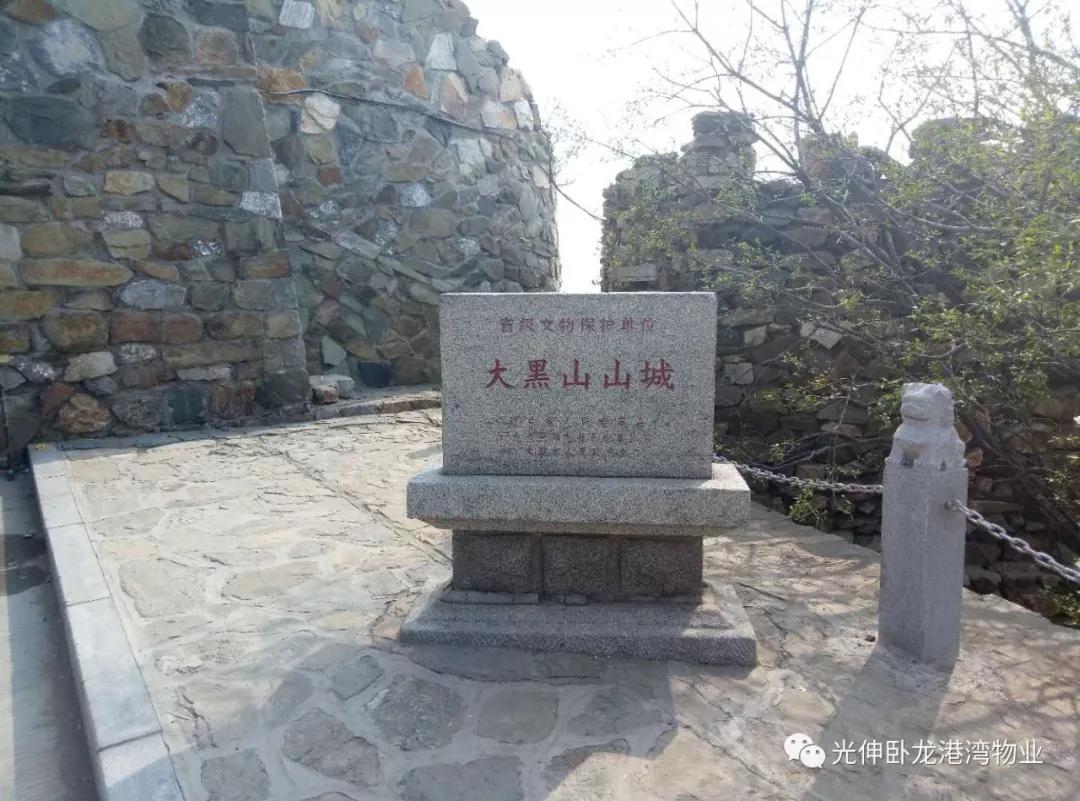 扑睿德州·(中国区)官方网站