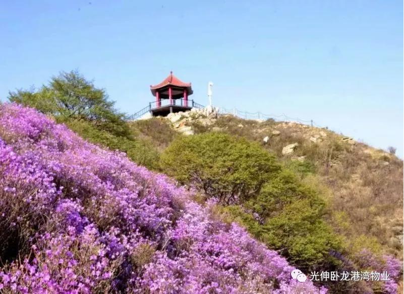 扑睿德州·(中国区)官方网站