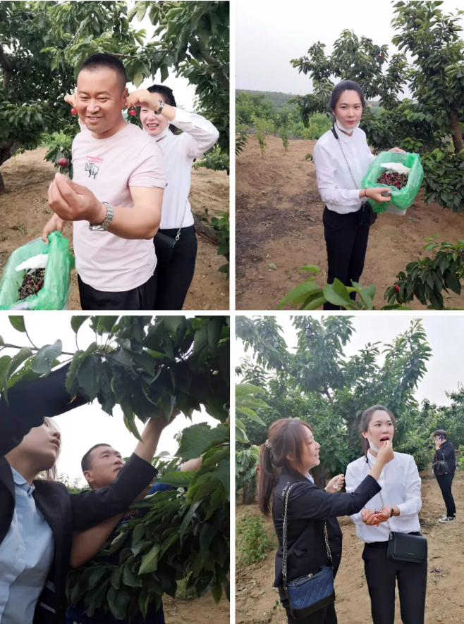 扑睿德州·(中国区)官方网站
