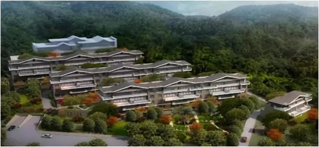 扑睿德州·(中国区)官方网站